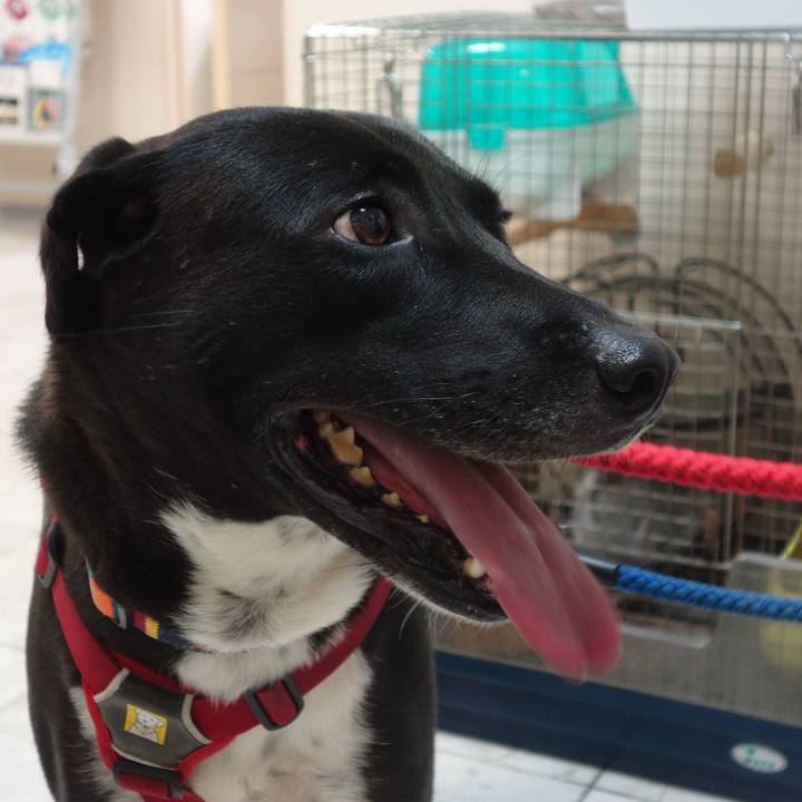 F014eb24 ae82 4271 aba9 456ac0704e27 1603191642229