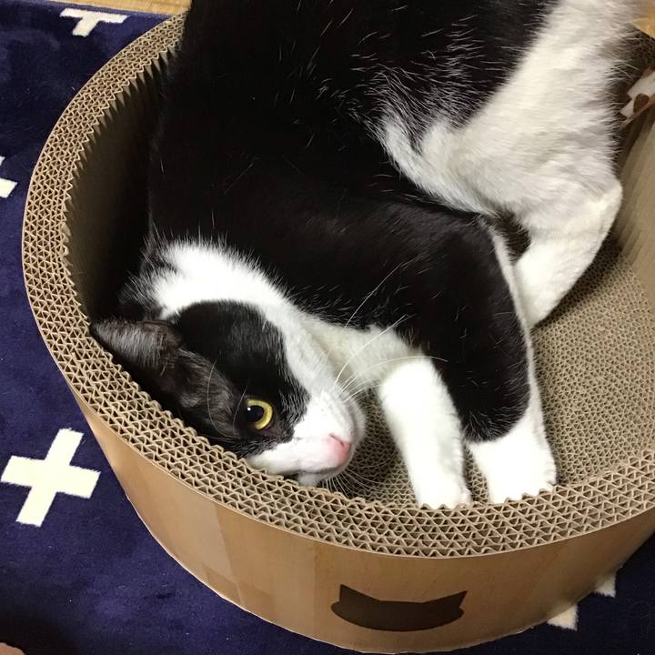 F014f25a f0d5 42d9 9e18 13054da6f07e 1709891881862