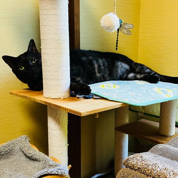 F0151f27 6121 4b40 b331 981c3c6909f4 1753574326522