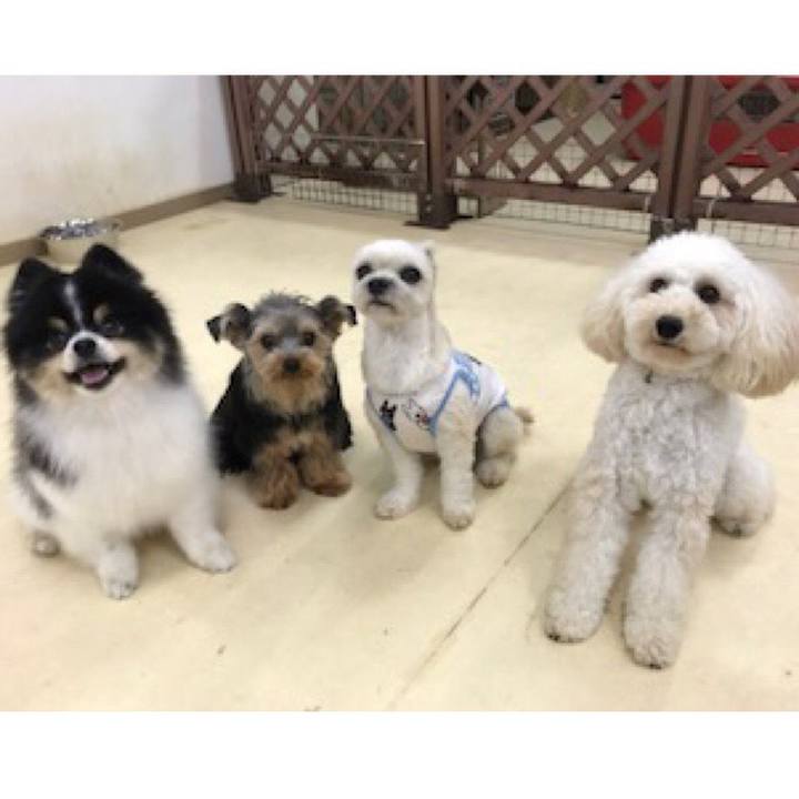 F0156c76 7151 4eb9 ab8f 2448d12cfd3f 1529405555058