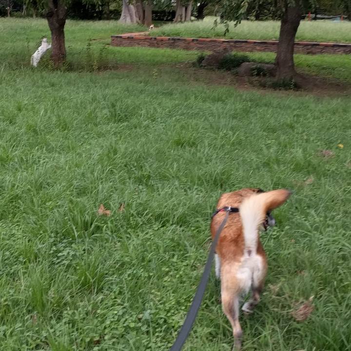 F015775b 2a87 442d a0ee c085ea30b920 1536540773583