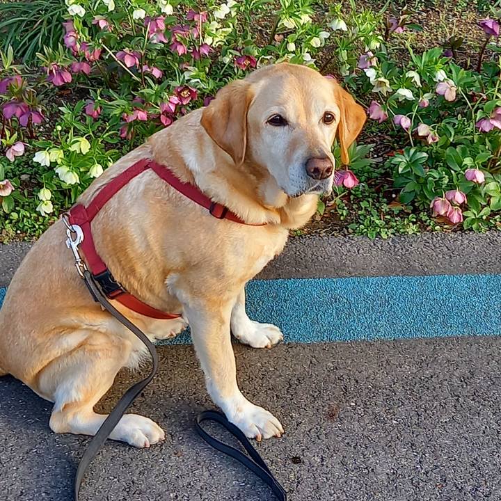 F0157cb9 0a88 4d50 b8dc 20a55377798f 1647859858711