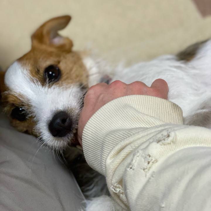 F01596cd 9ac4 46f3 9428 4bd1ebdbd792 1645447513715