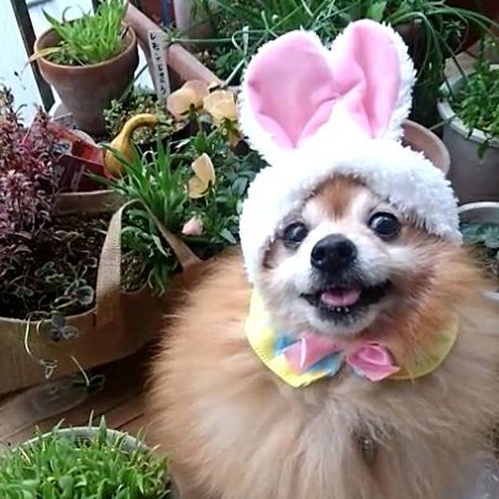 F015d313 9574 4840 b6c1 07b1a54c2daf 1524996140463