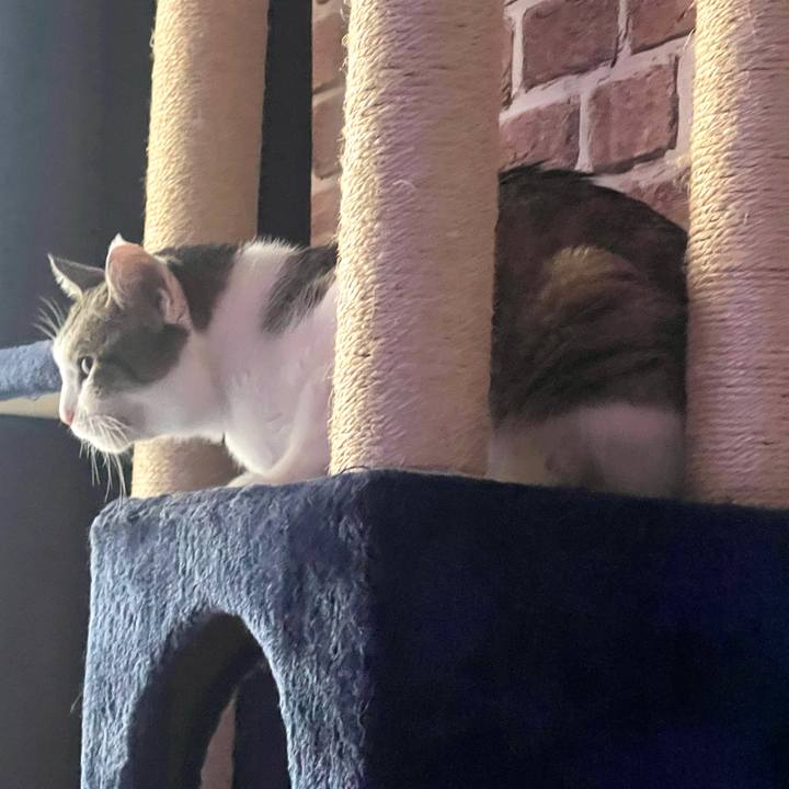 F015e72c 0da2 48c0 8401 c414771e80b0 1630442824932