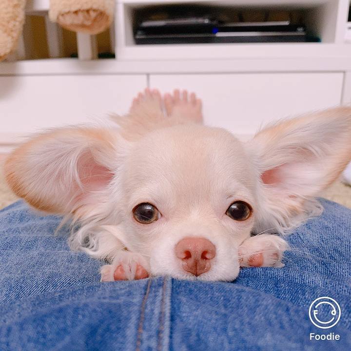 F015fa0f 37f2 460d b2f9 841cc74f2157 1599459547701