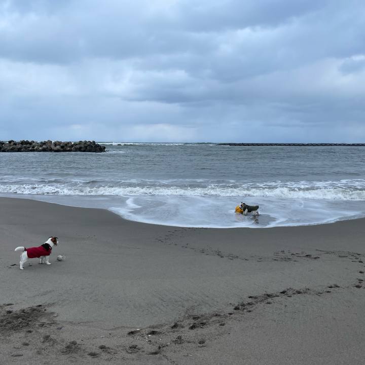 F01602cf c165 4ce9 9985 127b4e824ba5 1643934242734