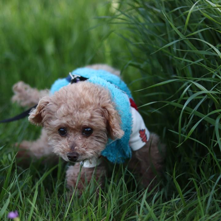 F0161617 ff1d 41f4 8c27 dcbf071f4a0c 1667722913827