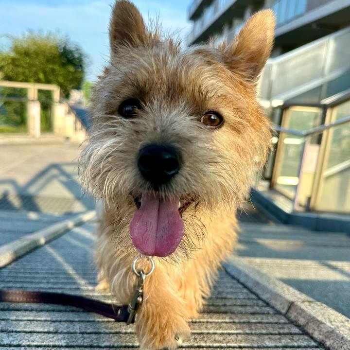 F0163554 f0f5 41d9 8ff4 0d04dd7a5700 1721536539345