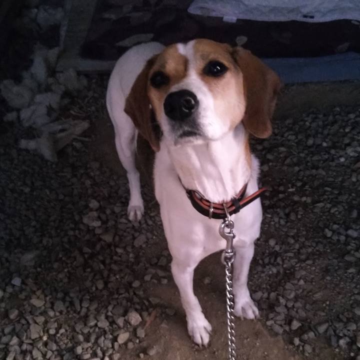 F01650f1 9f7f 48ef 93d2 0388f08e267a 1638086980833