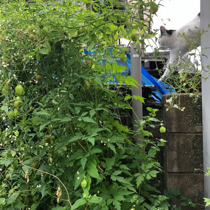 F016ccc0 2521 4c26 b403 365de9ee7e63 1602371951116