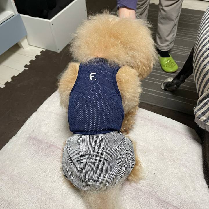 F016fff2 39f8 4d52 a444 92da92986260 1618133641030