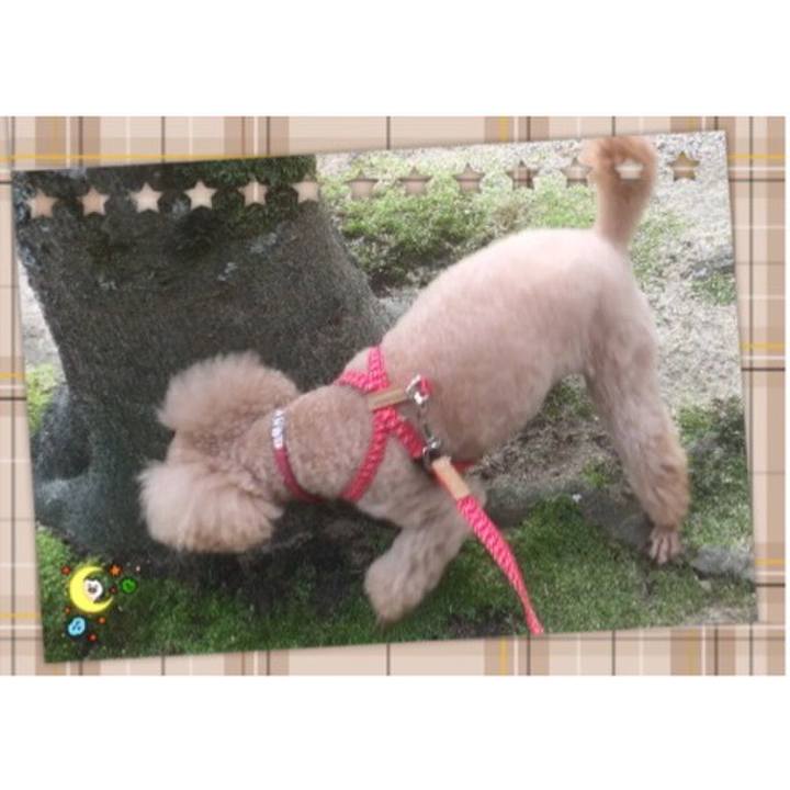 F0170193 c569 4263 96e4 932512bf0d6b 1538469993562