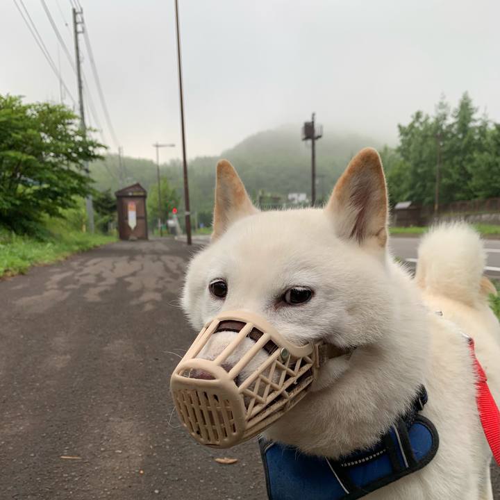 F0172b9a 7a53 428b 8d0f ae589f135c06 1625691468107