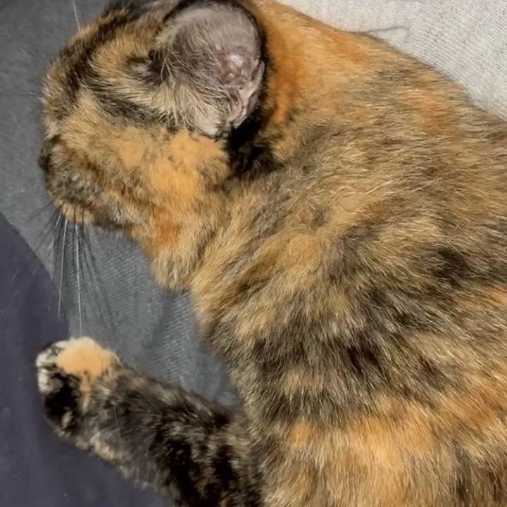 F0173814 aca9 4f6b b8fc 0e8720aeee73 1763669780159