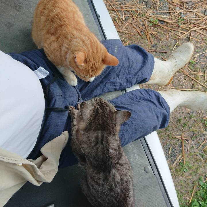 F01772f8 60e2 4204 99bf ea11d68b9cf0 1593550587130