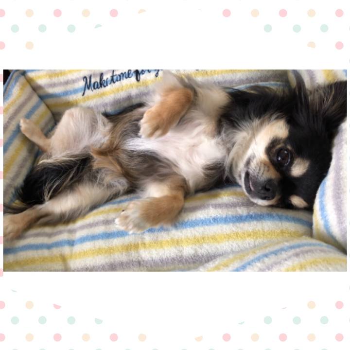 F0178b06 c8a8 4257 87f3 87af11b3fe69 1590474666488