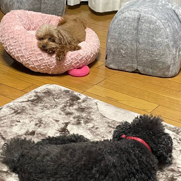 F0178dc4 c7b6 4f0c be6f d02875a199a6 1699795001749