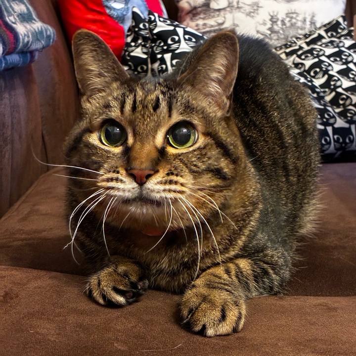 F017c5aa 48ad 4591 8ac8 24dc6d2c402b 1774778636319