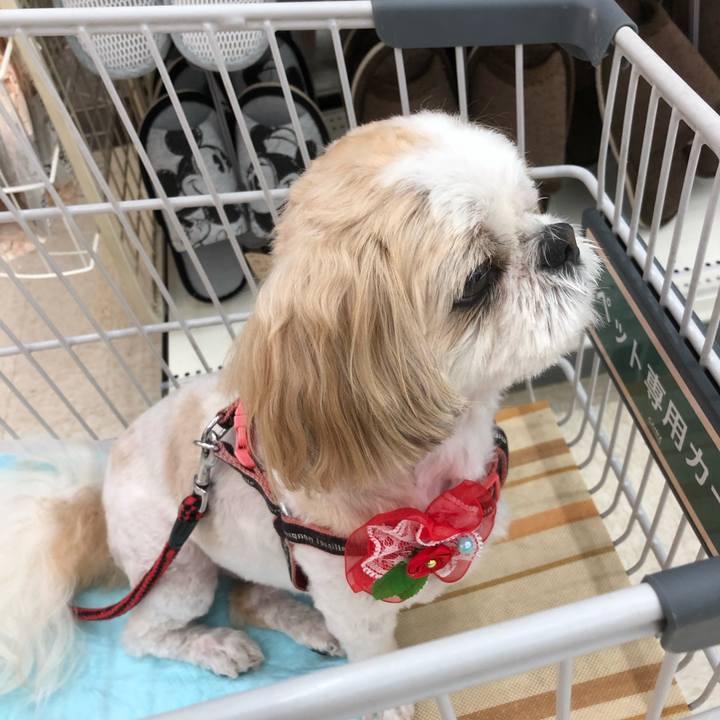 F017cc8a ae41 44df b020 fe9626a4da2c 1630533687223