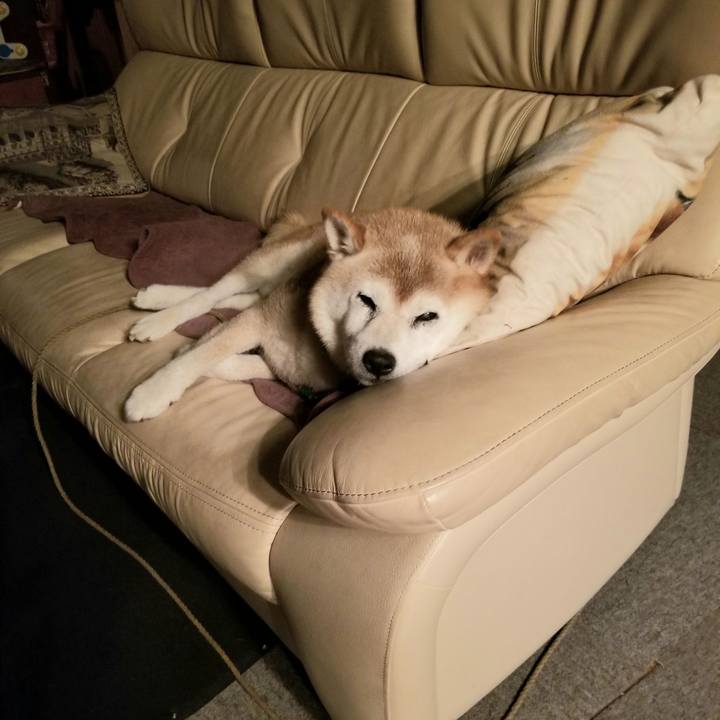 F017ceef bb28 4b2c 8c20 084561623078 1724410602874