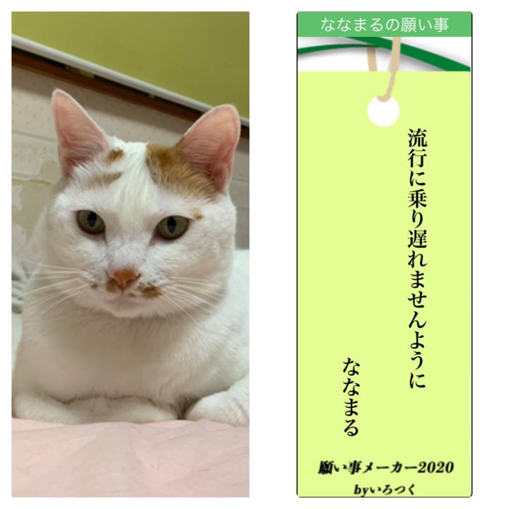 F017e52c dbc5 413a be01 e3977f95fb6a 1594093211987