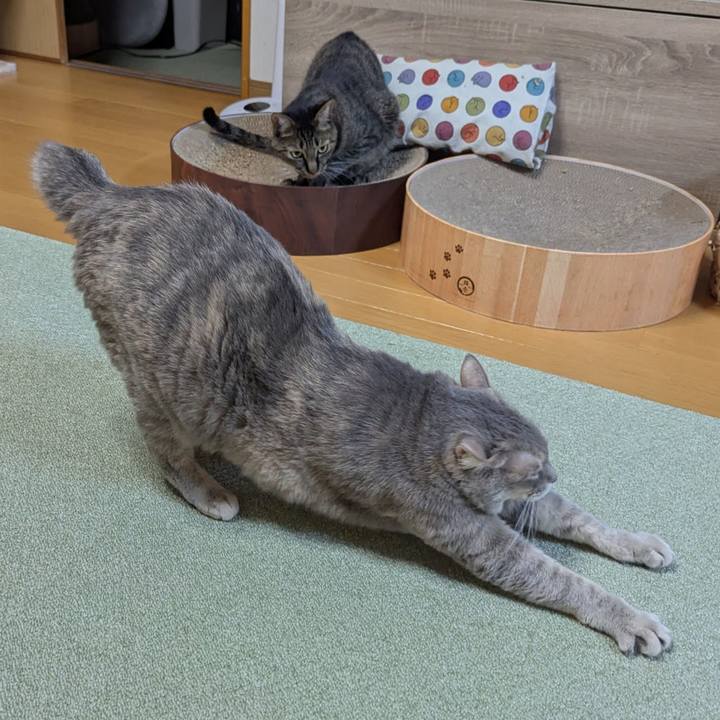 F0183b6c eda1 429f aff3 b2def6500fe3 1740457058730