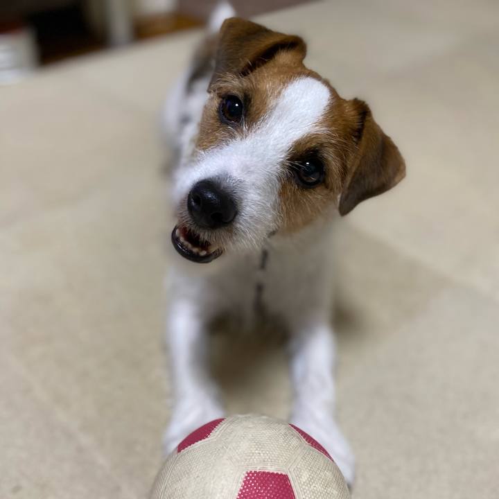 F0185c82 462e 4d87 871c 6d4e15dc3ed1 1729685331109