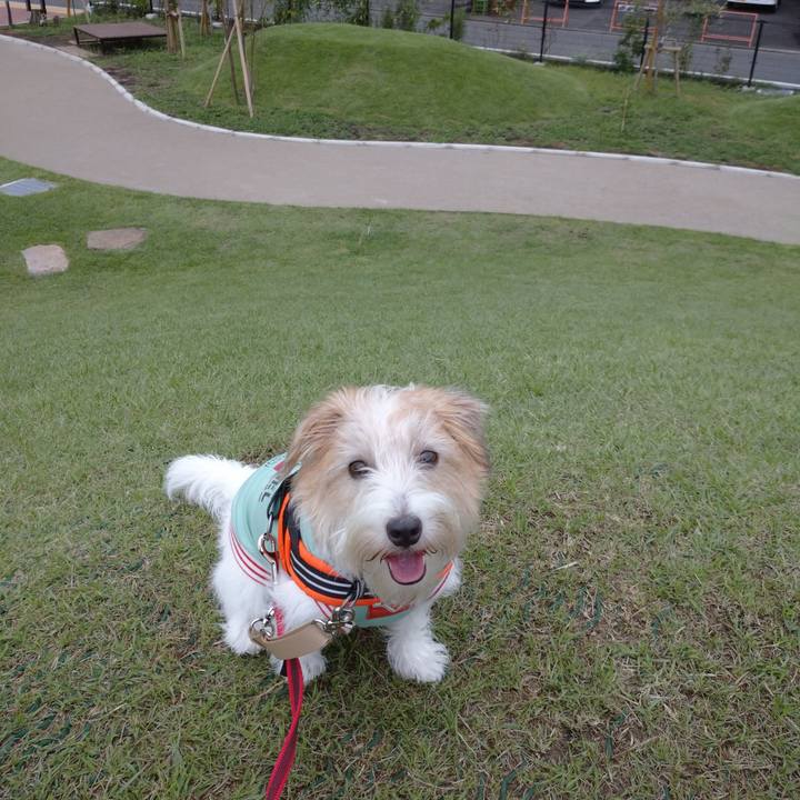 F0186f32 9bbe 4e9d 8280 7ab930c25ed1 1757803138824