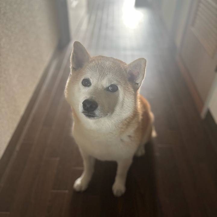 F0188959 1f54 4c95 95d7 16b80f13e953 1748549964481