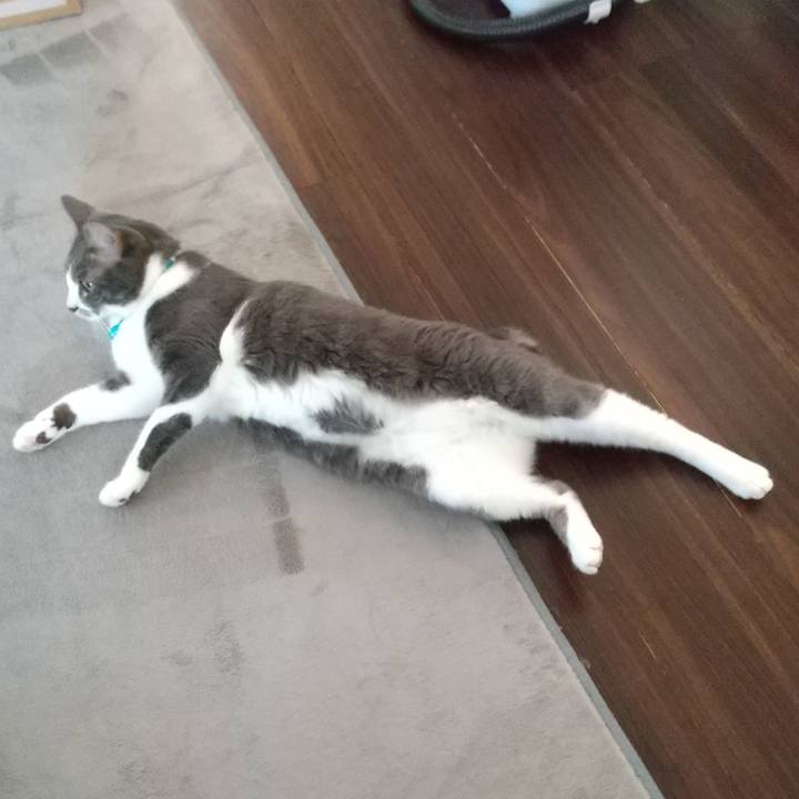 F0189f1b 754a 4ed6 87cf b419964131a5 1619734189987