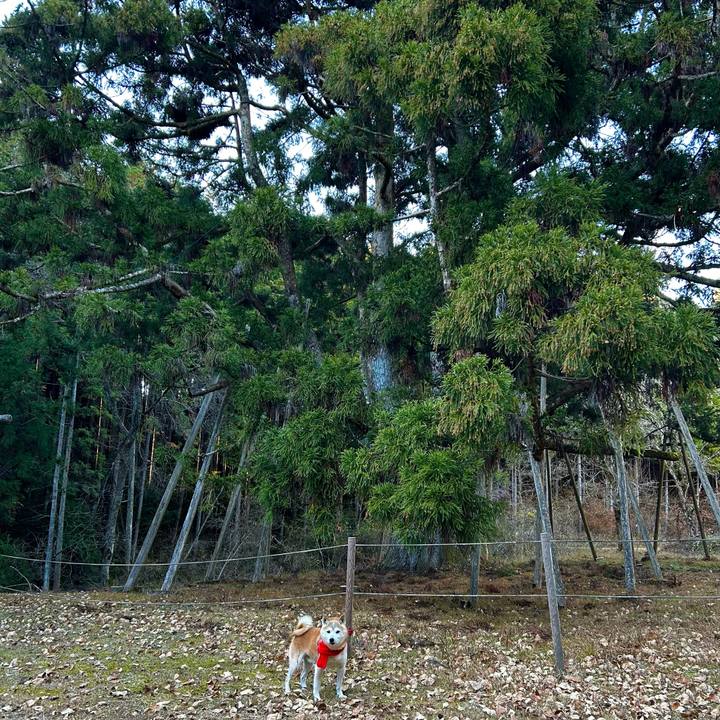 F018ab72 f82d 4776 a97e aee6a3b02add 1765536950528