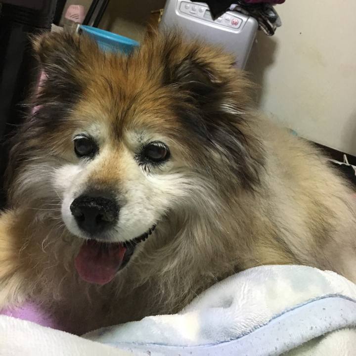 F018ad04 d526 4b7e 8305 47c6105463ca 1596747577998