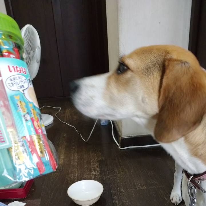 F018bf04 c24d 44bd a0bf bfa236cfffa7 1595233731501