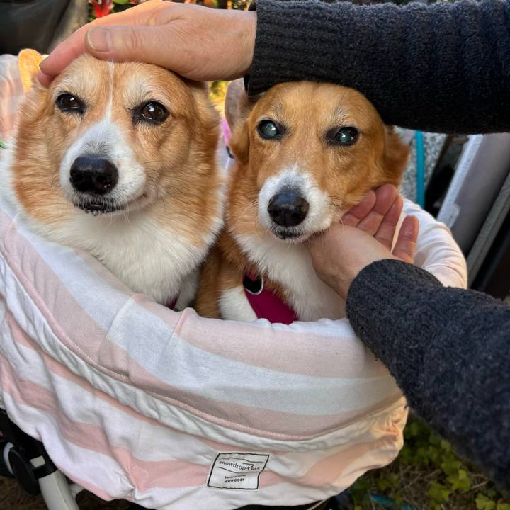 F018bfcf 8cf0 4884 9b72 be804872d285 1734747502709