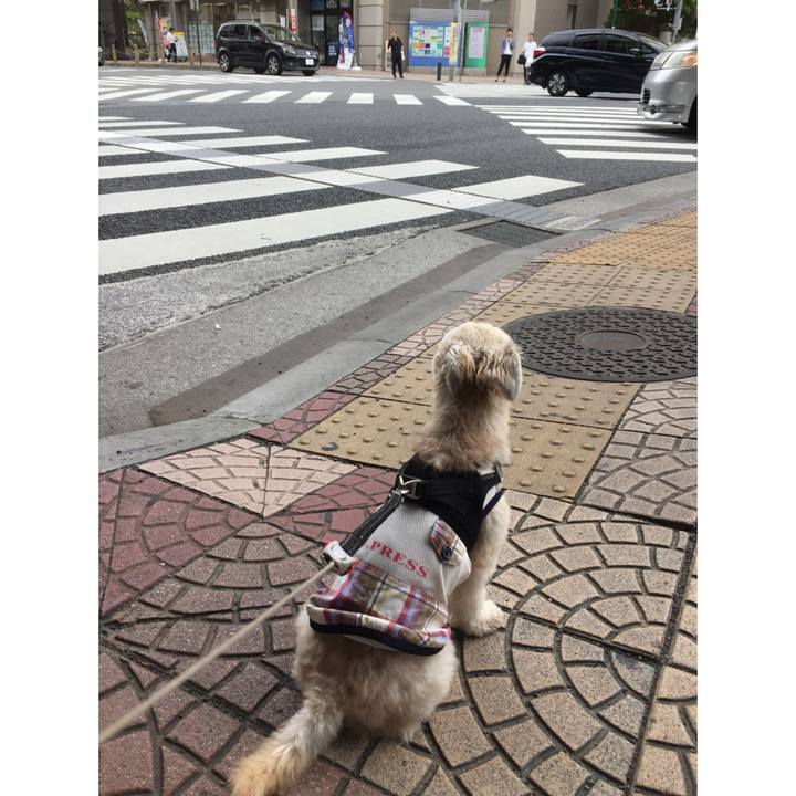 F018ec4f a66d 48a7 9bbe fbb91de09d18 1537073360303