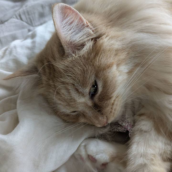 F0190c01 1cbe 4e4c 866c cd1a474b0dbb 1750464716072