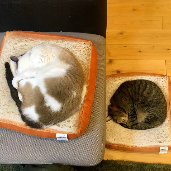 F01923f4 9ccd 4a40 b5b9 0a4dd7fe22e1 1551358579253