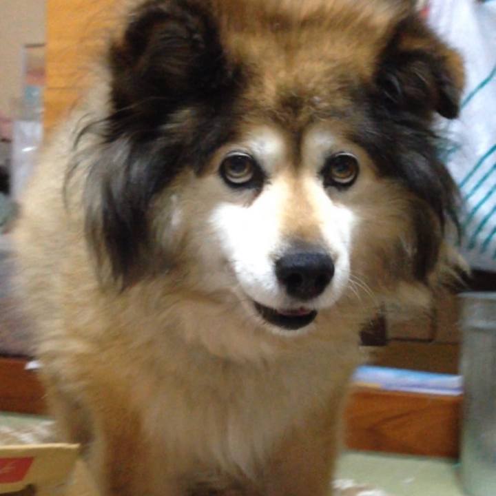 F01939d7 07fe 455b 9269 88f58bf37609 1572251161130