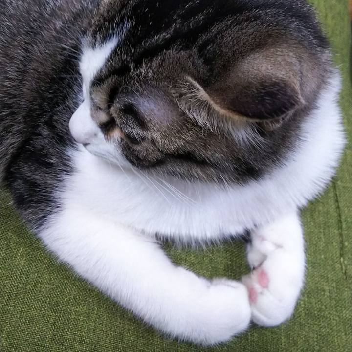 F0193f41 733a 4af4 b219 36dd36d24bf4 1615719034400