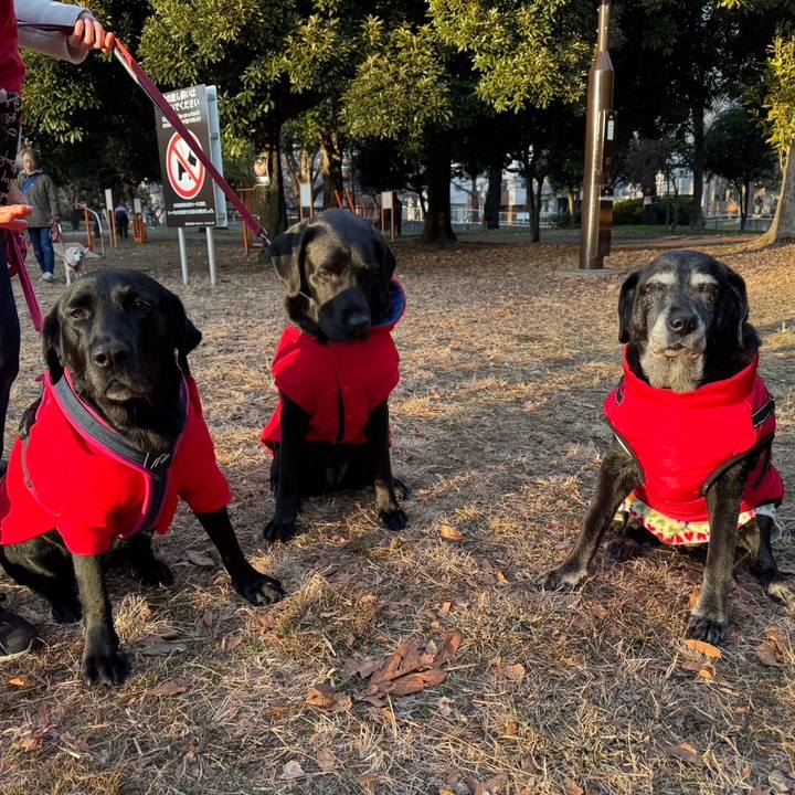 F0194ed4 8847 4b1b 9468 28760da28f7e 1738581482890