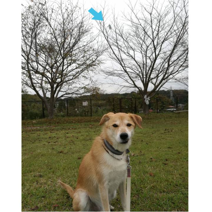 F0195039 7df4 4334 9667 154cbdbd82aa 1539315167474