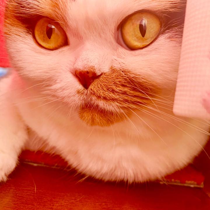 F0195ccf 7828 4215 8cba f27f9f49e3ee 1564350230857