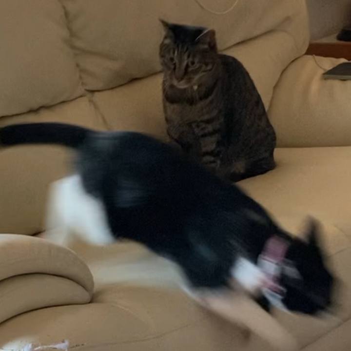 F0197046 f424 47e5 8980 c17be8118b62 1620184360425