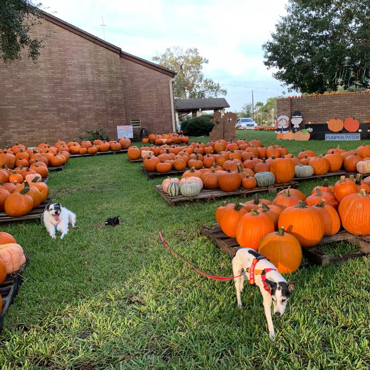 F0197a5f d58f 46d0 b07f b264aef11f85 1633384029461