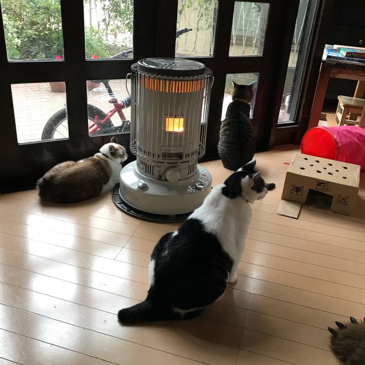 F0197f0d 438f 4e95 b1c4 696de1920806 1511132343133