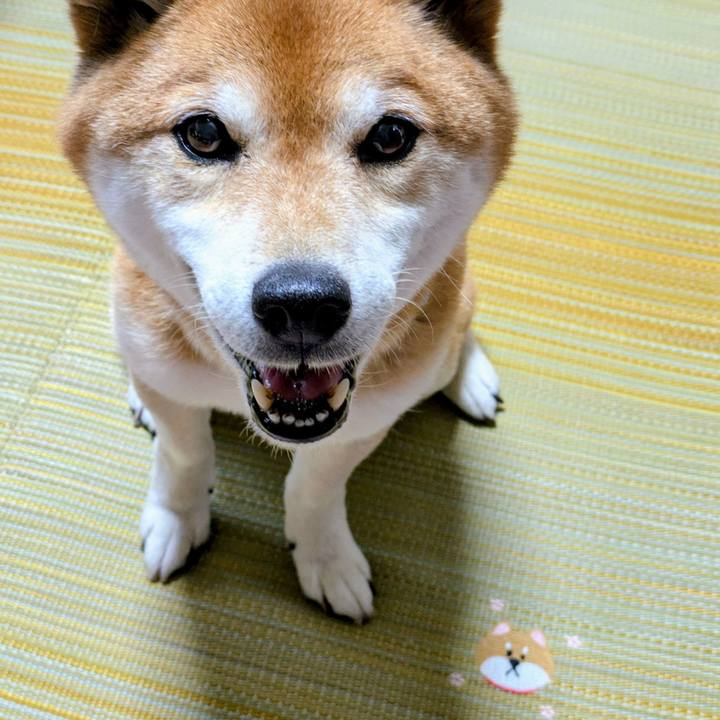 F0198836 8362 4954 b3a9 a7f0b24953a9 1747298311341