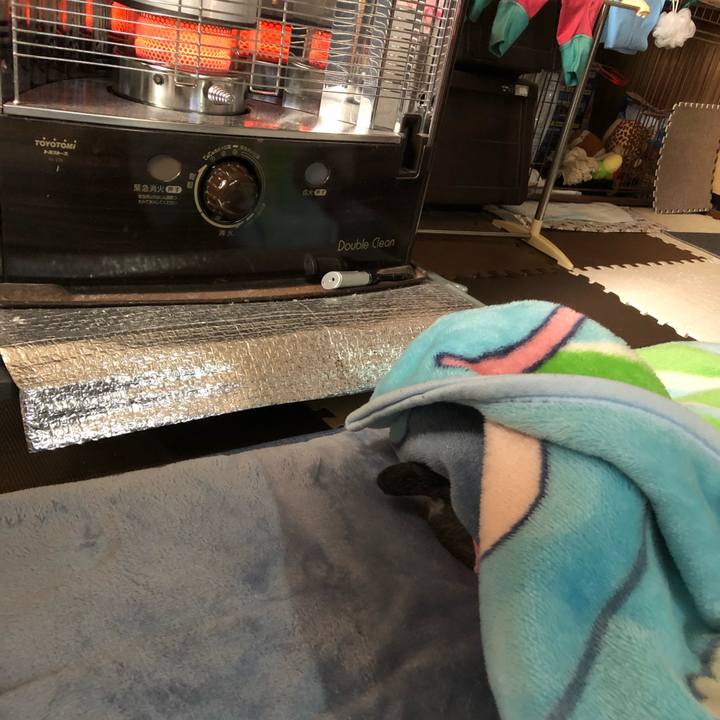 F0198e45 eec4 48d8 b5e2 0b7473d1bc5b 1681136672662