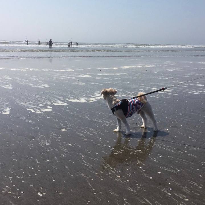 F019ad83 77a3 4443 8b95 6ea4b9766636 1635335200580