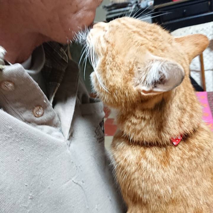 F019e7de e966 4898 997e f745082f3bcc 1577741570577